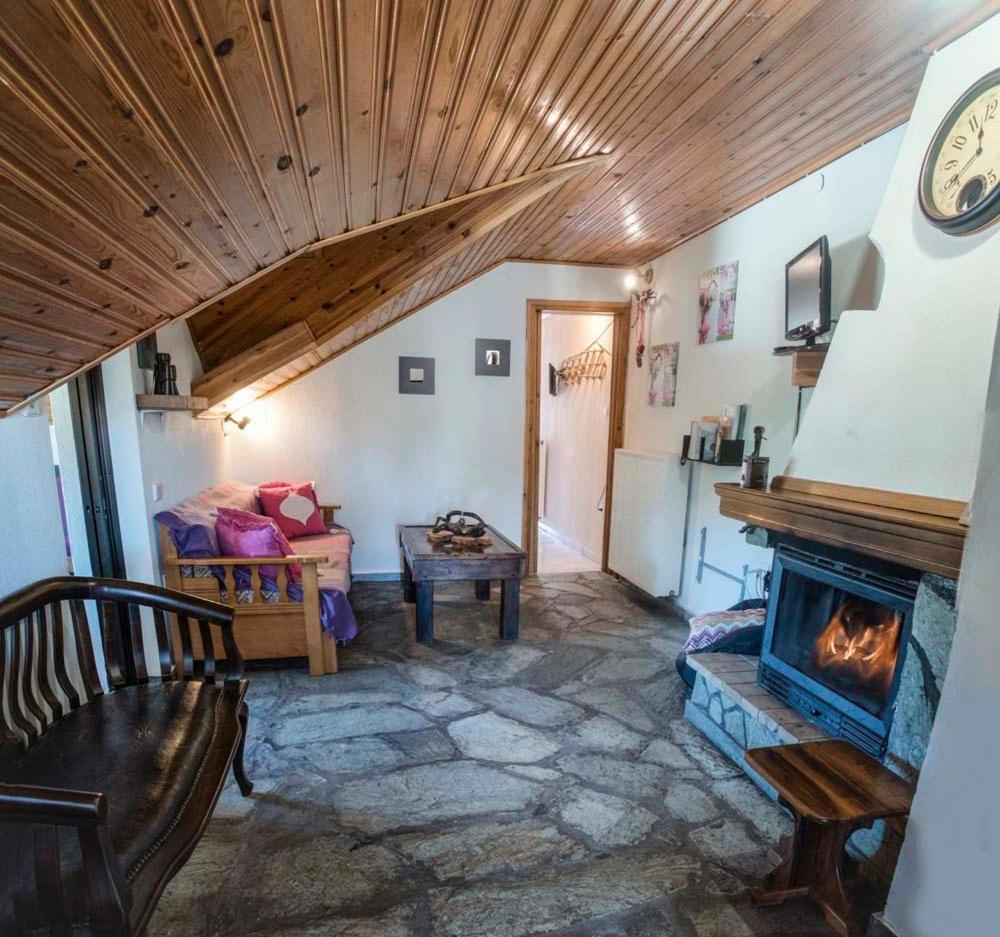 Guesthouse Theodorou Elati  Exterior photo